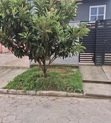 Recanto das gérberas