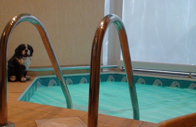 Recreation in Jurmala only in 100 meters from the seaside!