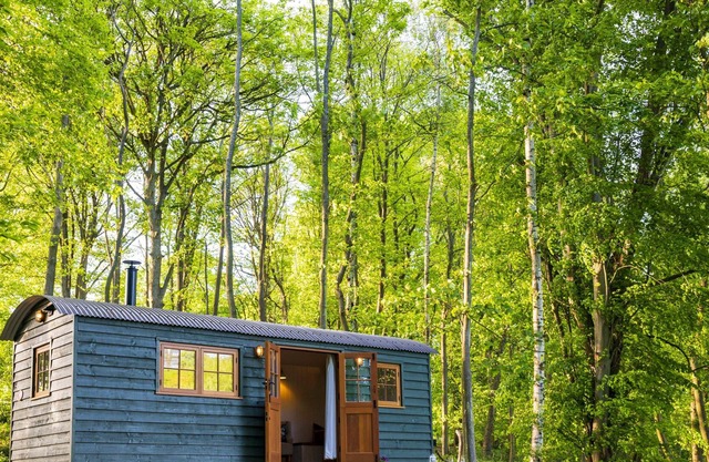 Red Kite Retreat - Allium - Shepherds Hut 2