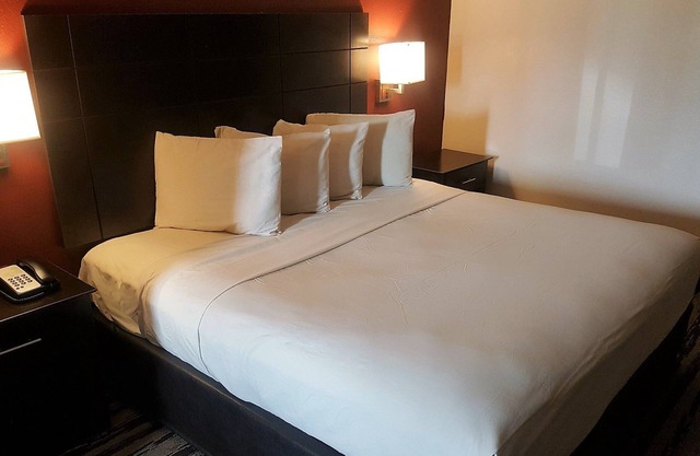 Red Roof Inn & Suites Houston - Humble/IAH Airport