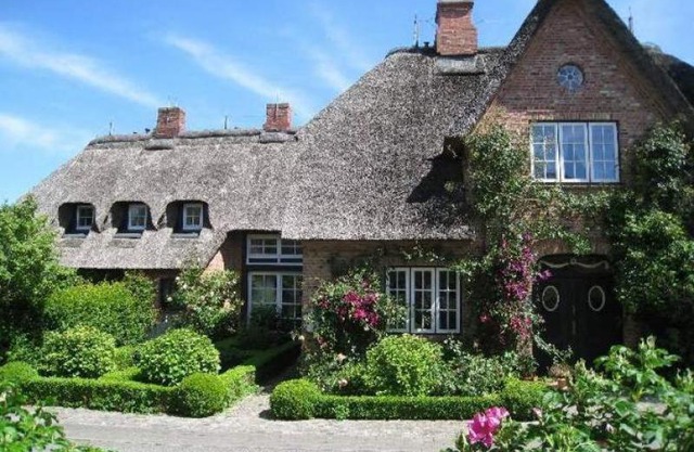 Reethus-WE-4-Seeschwalbe