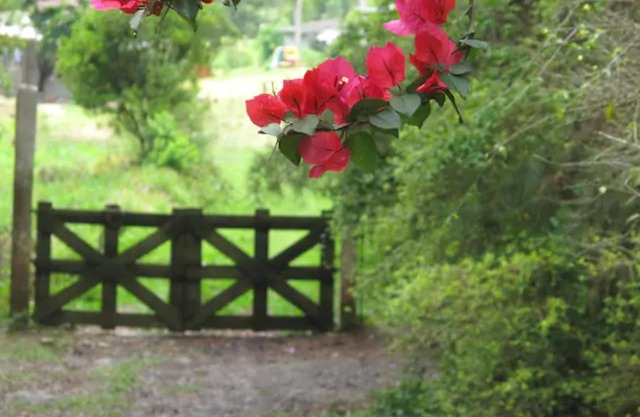 Refúgio da Mata Ibiúna Petfriend