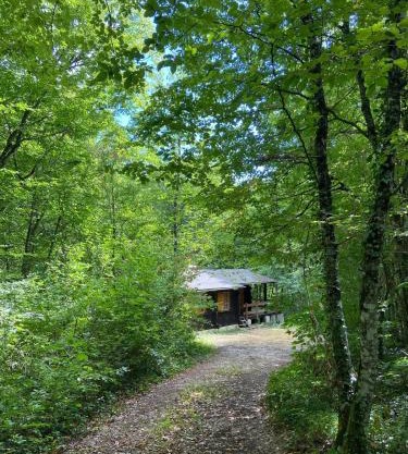 Refuge Nature - Chalet avec Terrasse vue forêt