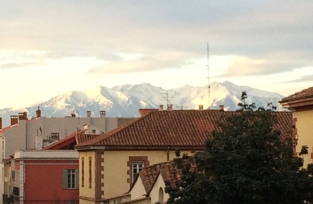 Refurbished T2 apartment with lots of charm in the historic center of Perpignan