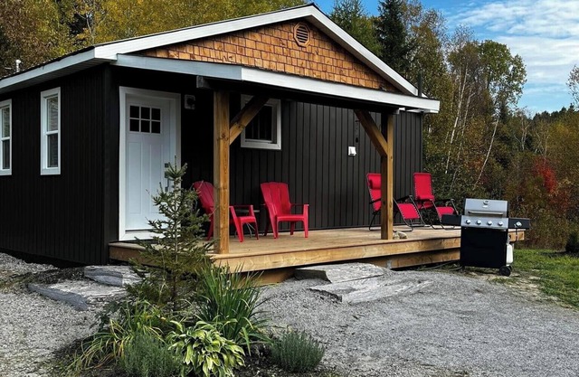 Relax at Cozy Cabin near Algonquin, 2 Bedroom, WIFI, large yard w/firepit