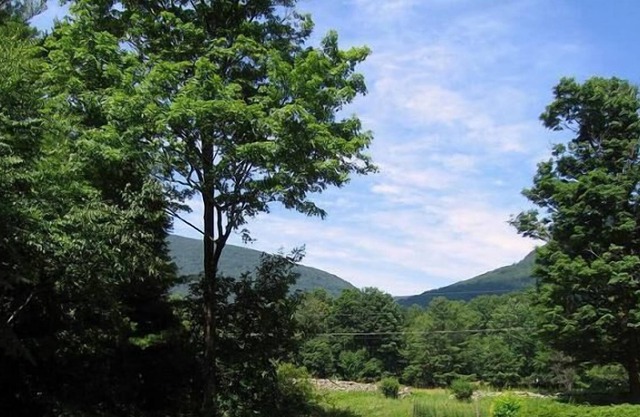 Relax In This Peaceful And Modern 3BR Catskills Rambler with Mountain Views