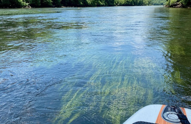 Relax on the River