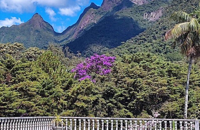 Relax Total Teresopolis