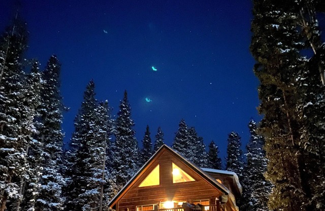 Relax with Family, Friends and Dogs, in a Secluded 4b/3b Cabin in the Woods
