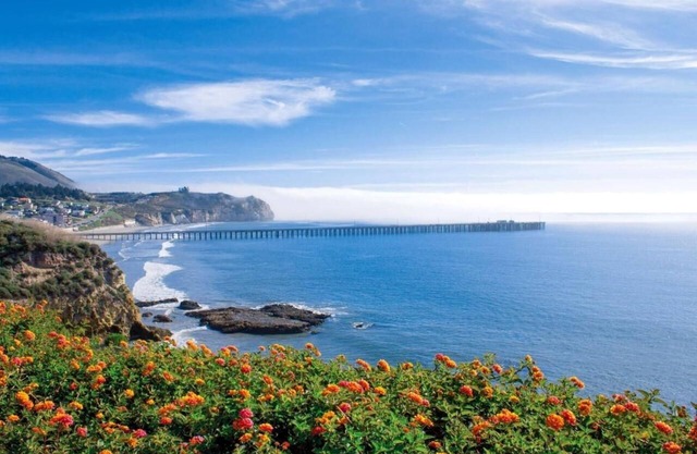 Relaxing Family Friendly Suite! 2 Comfortable Units w/Free Parking, Onsite Pool