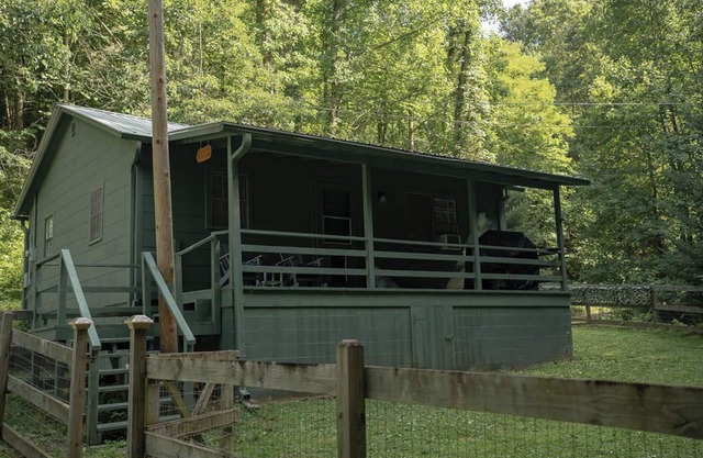 REMOTE, Cheerful Mountain Cabin with hot tub in Franklin, NC.