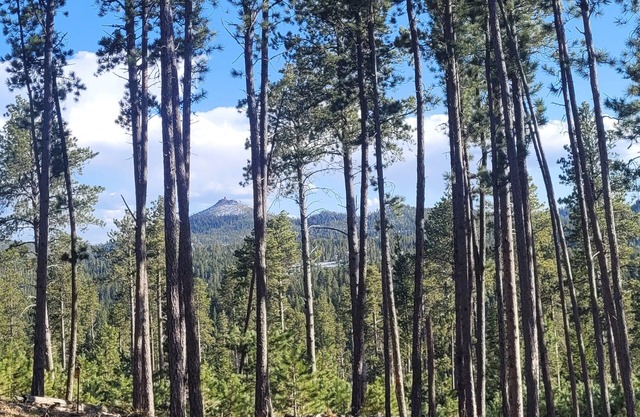Remote Retreat for 2 near Deadwood w/beautiful views & near activities!
