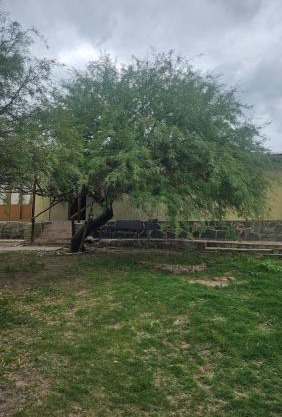 Residencia villa monica