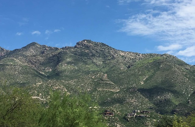 Resort amenities for outdoor adventures, relaxing, The Greens at Ventana Canyon