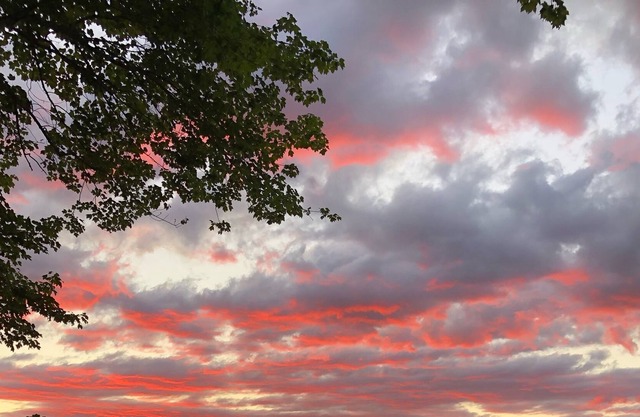 Rest, Relax and Rejuvenate!