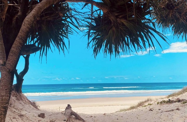 Restspace in Byron Shire