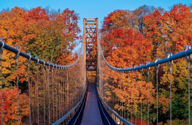 RETREAT NORTH — SAUNA + HOT TUB + HIKING & PADDLING — BELLAIRE, TORCH & BOYNE!