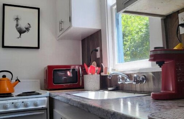 Retro Cabin in the Redwoods - remote location close to hiking and the river