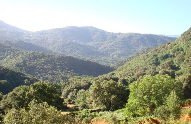 Rez de Villa