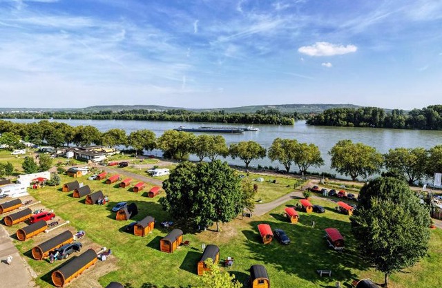 Rheingau 524 Schlaffassdorf direkt am Rhein