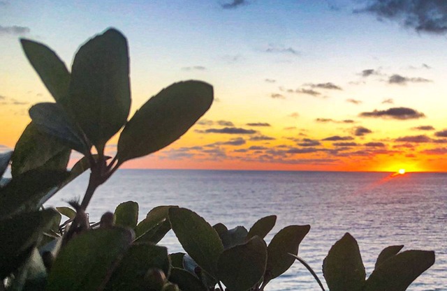 Right on the Bluff with Spectacular Ocean views from almost every room