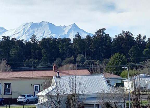 Rimu