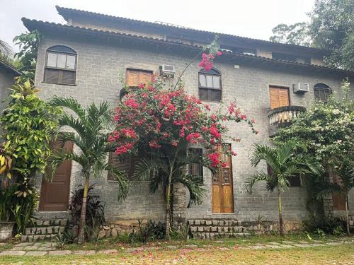 Rio Natureza apart 114