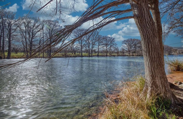 River Front Property that sits just up the river from Seven Bluff
