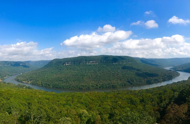 River Gorge Condo! Mountain and River Views! 10 minutes from Downtown Chatt!