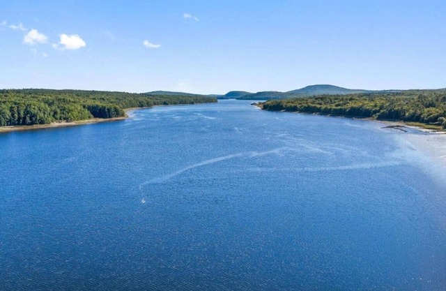 River Retreat - Stylish, Gorgeous Water View, Dogs, Fire Pit, Secluded, Games