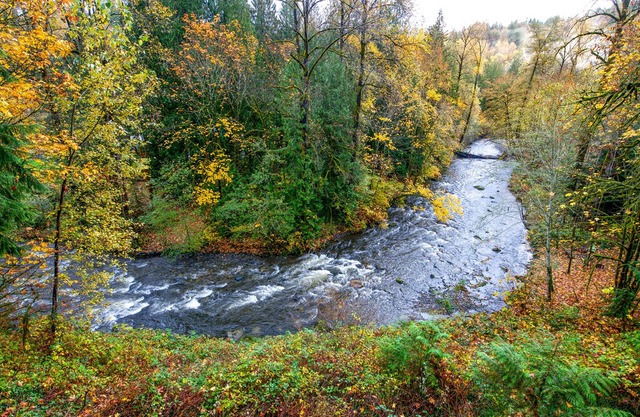 River's Edge Get Away ~ A Magical Retreat