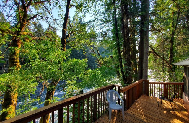 RiverPeace on the McKenzie