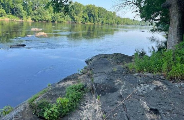 Riverview Cabin on the James