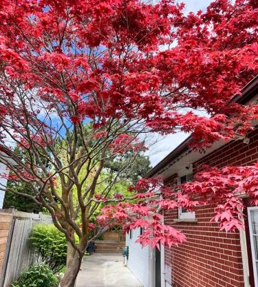 Riverwood Home-Entire Rental Unit