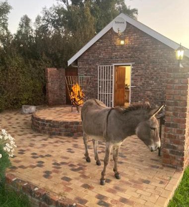 Rivier-Plesier Cottage at Riggton River Farm