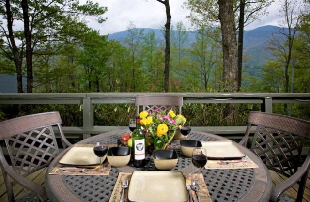 🌲Roaring Fork Chalet: MTN View, Hiking, Waterfalls, Trails - Dog Friendly!🐕‍🦺