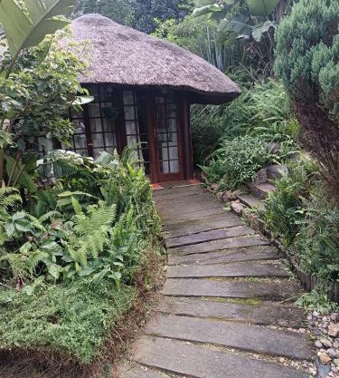 Robin's Thatch Studio- bush camp in the suburbs-sleeps 2
