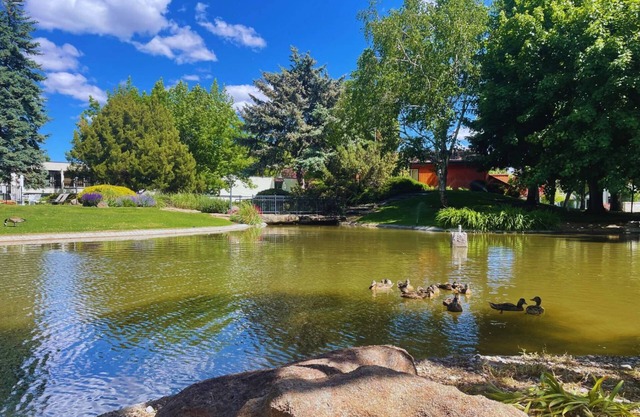Rock N' Roll + Sweet Dreams! Get Cozy Next to Indoor & Outdoor Fireplace'! Community Pool!
