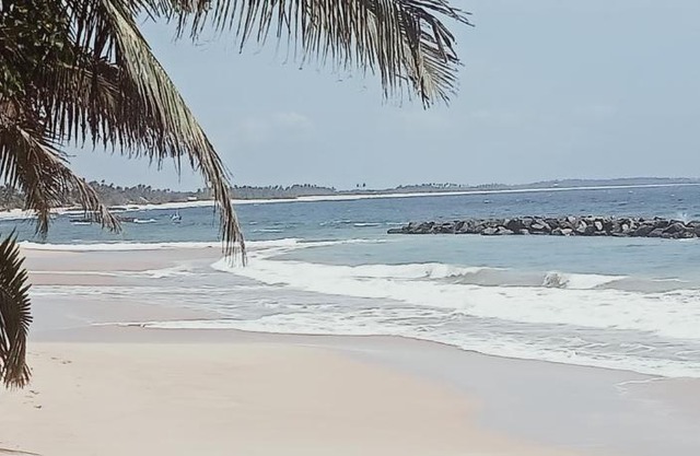 Rock Paradise Beach Hotel & Restaurent