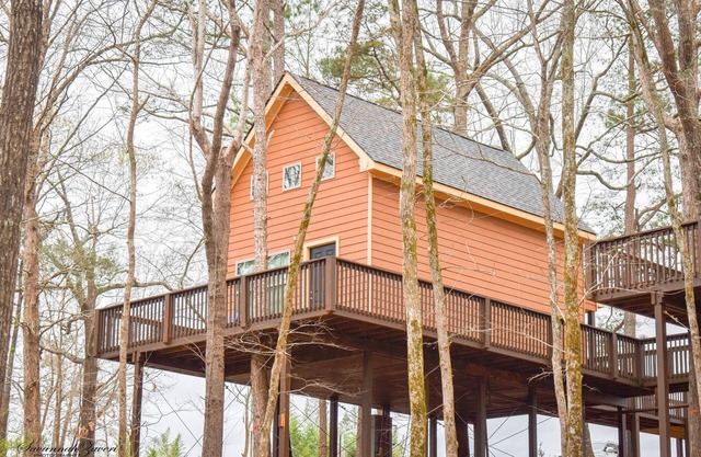 Romantic Treehouse Paradise