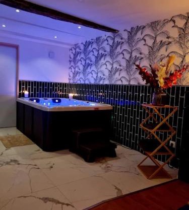 Romantique room St Michel de Lanes (love room)