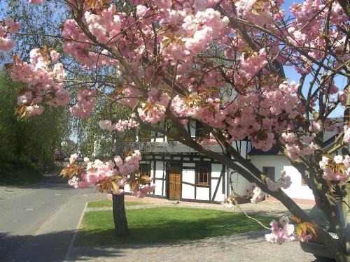 Romantisches Fachwerkhaus Zwischen Rhein Und Mosel