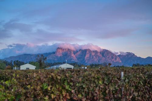 Room 5 - LEO Sky Guest House