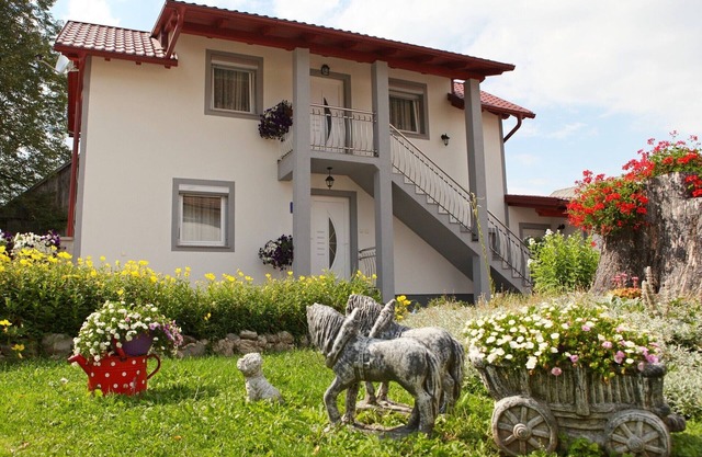 Rooms Jovica, (15965), Vrhovine, Croatia