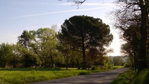 Roquepoix, A green stopover to explore Gascony