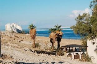 Sea Zohar 