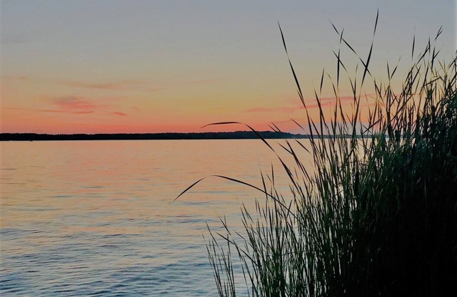 Rose's Retreat on Hamlin Lake-Private Paradise with Picturesque Views