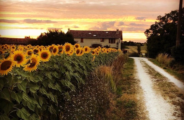 Rural Farmhouse, Bright Open Plan, Private Infinity Pool, NEW kitchen/lounge