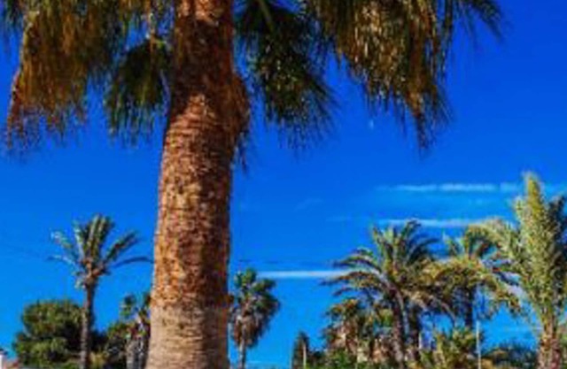 Rural house in La Manga, ideal for families, pets allowed