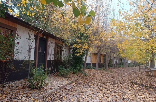 Rural House A1 next to the Tus River with swimming pool